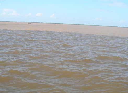 Amazonas Bildgalerie Amazonas Bildgalerie