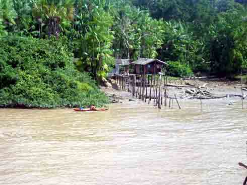 Amazonas Bildgalerie Amazonas Bildgalerie