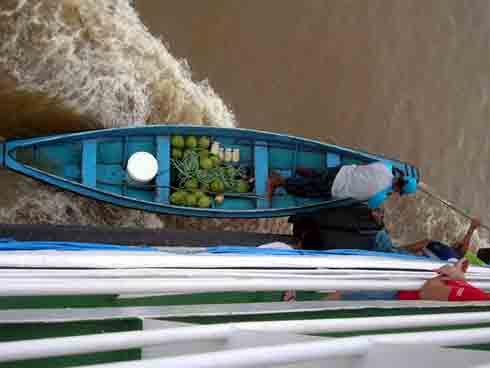 Amazonas Bildgalerie Amazonas Bildgalerie