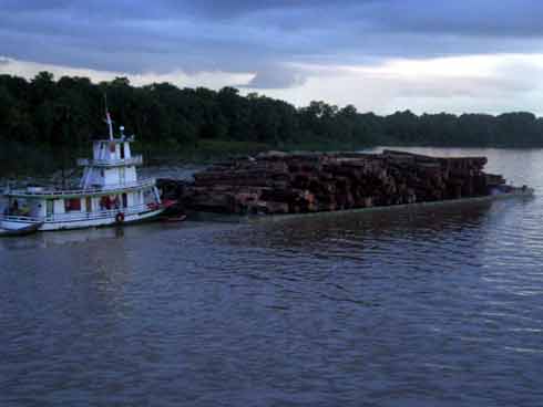 Amazonas Bildgalerie Amazonas Bildgalerie