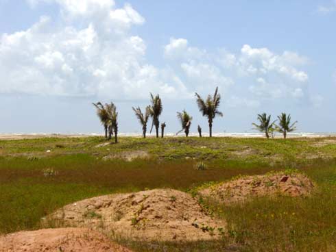 aracaju Bildgalerie