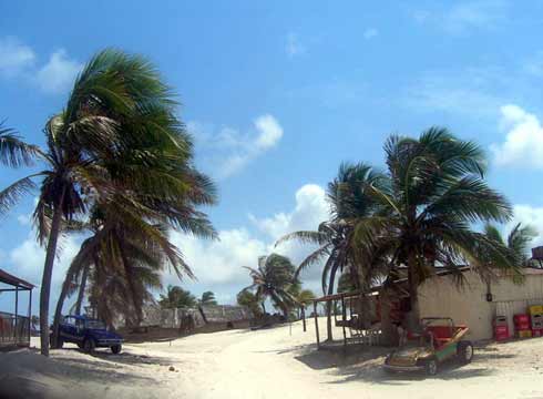 mangue-seco Bildgalerie