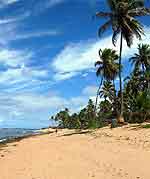 Praia do forte - Info